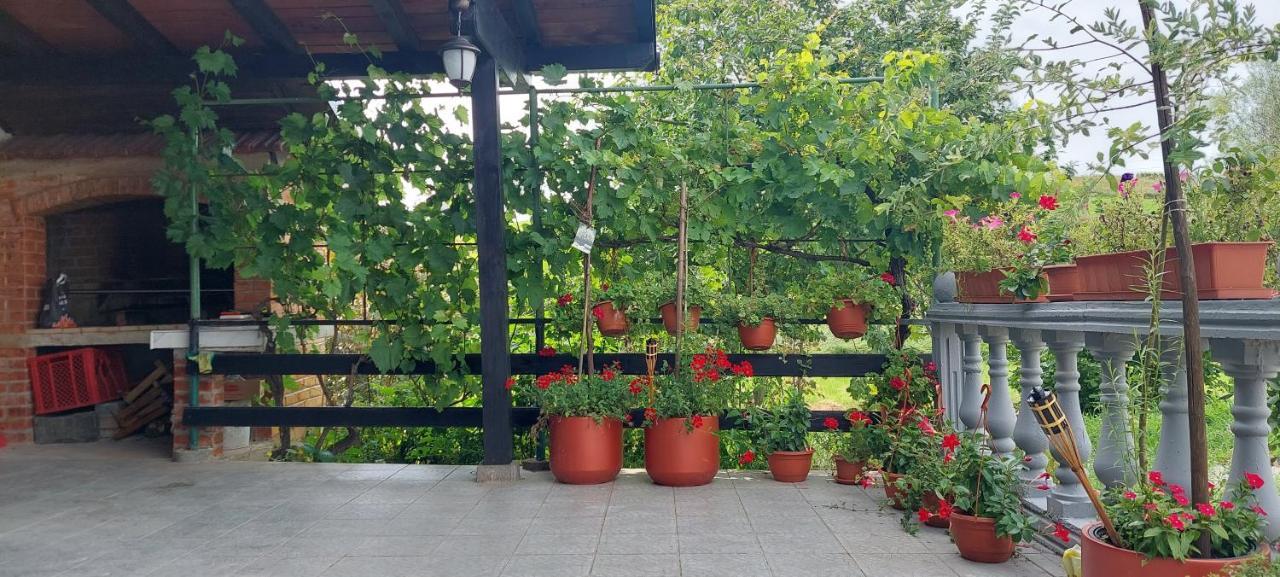 Kod Ane Appartement Belavici Buitenkant foto