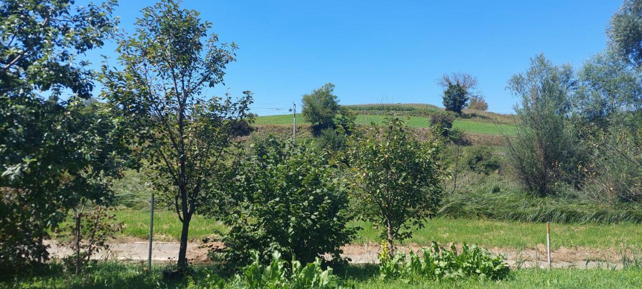 Kod Ane Appartement Belavici Buitenkant foto