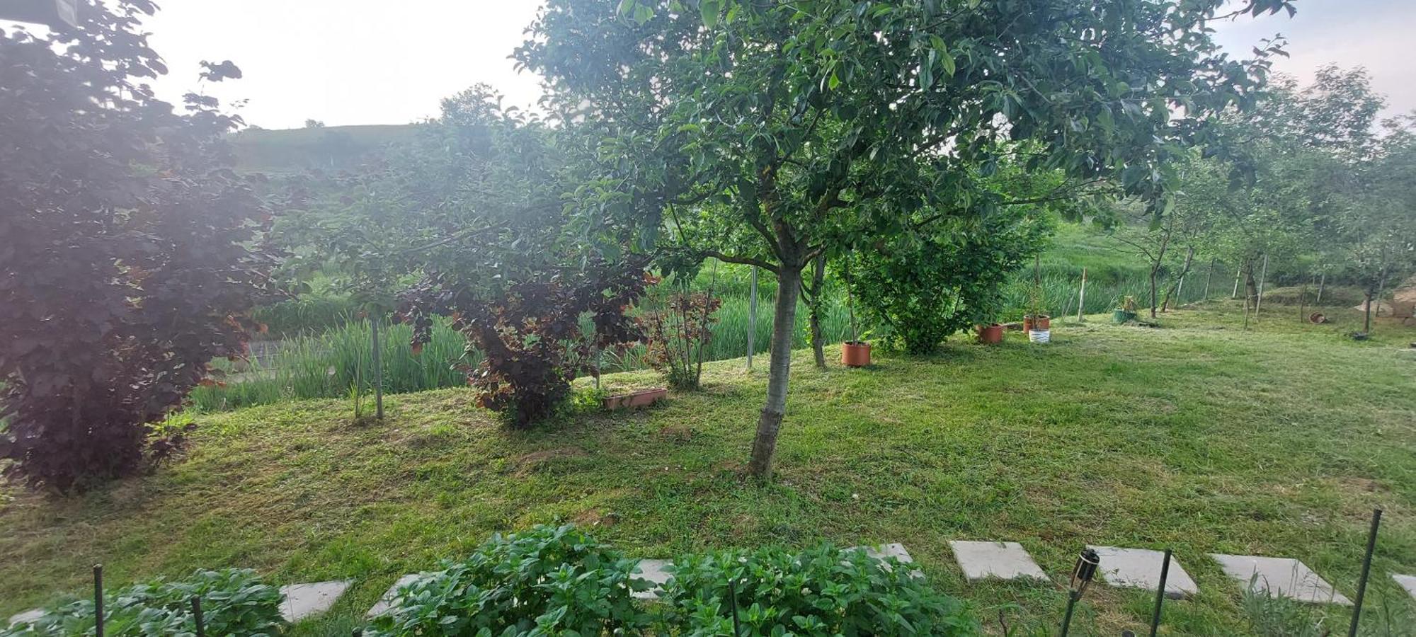 Kod Ane Appartement Belavici Buitenkant foto