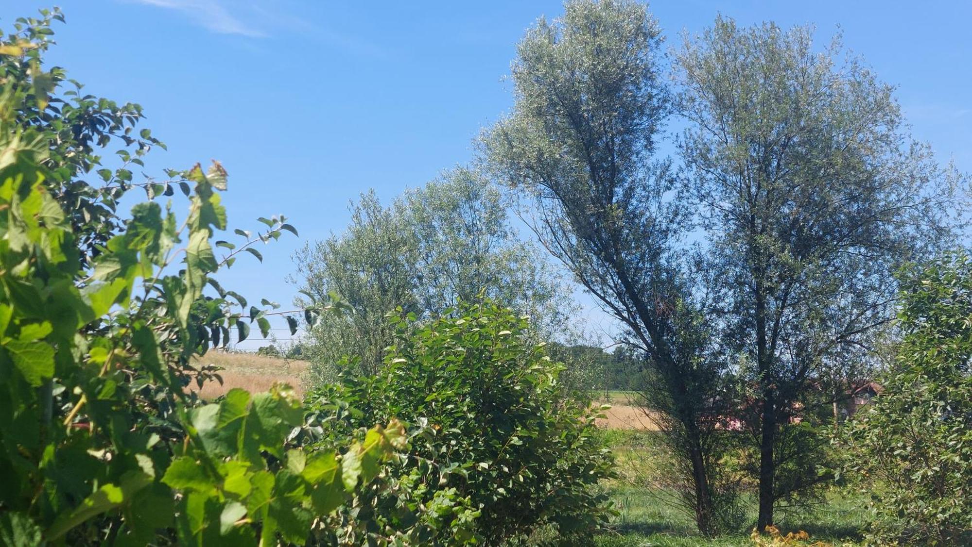 Kod Ane Appartement Belavici Buitenkant foto
