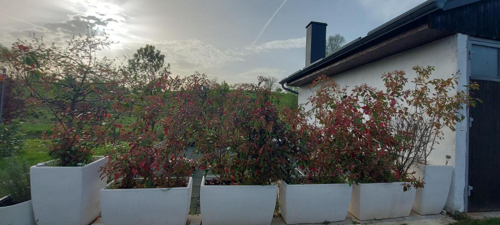 Kod Ane Appartement Belavici Buitenkant foto